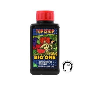 TOP CROP BIG ONE - 100ML