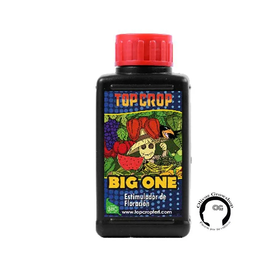 TOP CROP BIG ONE - 100ML