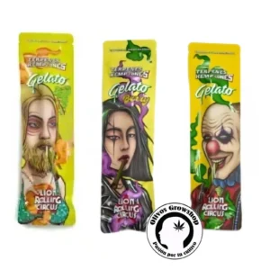 BLUNT PRE ROLLED TERPENO LION ROLLING CIRCUS X2