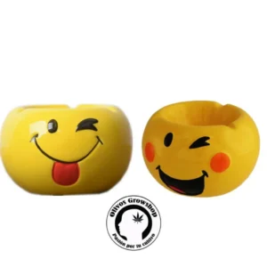 CENICERO DE CERAMICA EMOJI