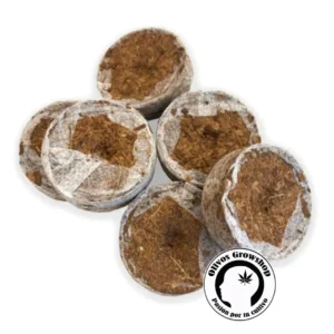 JIFFY MONEDA DE COCO UGRO