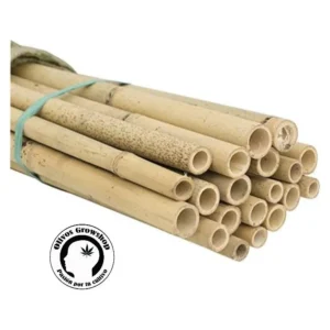 Tutor Caña de Bamboo - 1,20mt