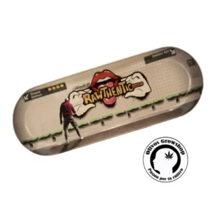 BANDEJA DE METAL RAW SKATE GRAFITTI
