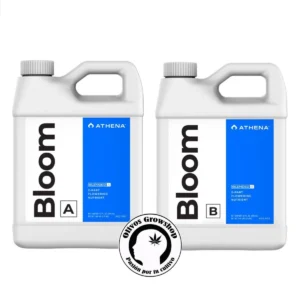 ATHENA BLOOM A+B - 946ML