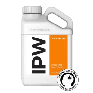 ATHENA IPW - 3,78 LTS