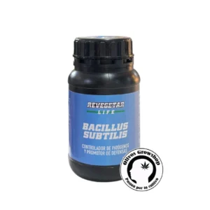 REVEGETAR BACILLUS SUBTILIS - 200 ML