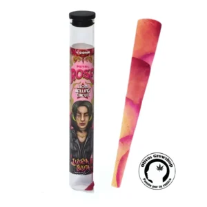 BLUNT PETAL ROSE LION ROLLING CIRCUS