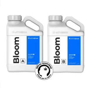 ATHENA BLOOM A+B - 3,78 LTS