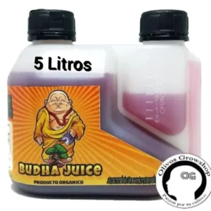 AZTEKA BUDHA JUICE - 5 LT