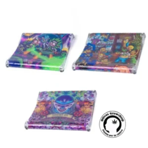 BANDEJA DE PLASTICO SLIDER TUQ 420 20X18CM