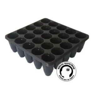 ALMACIGO BANDEJA DE GERMINACIÓN - 25 CELDAS