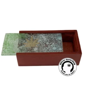 CAJA DE MADERA CON TAPA DE VIDRIO - CHICA