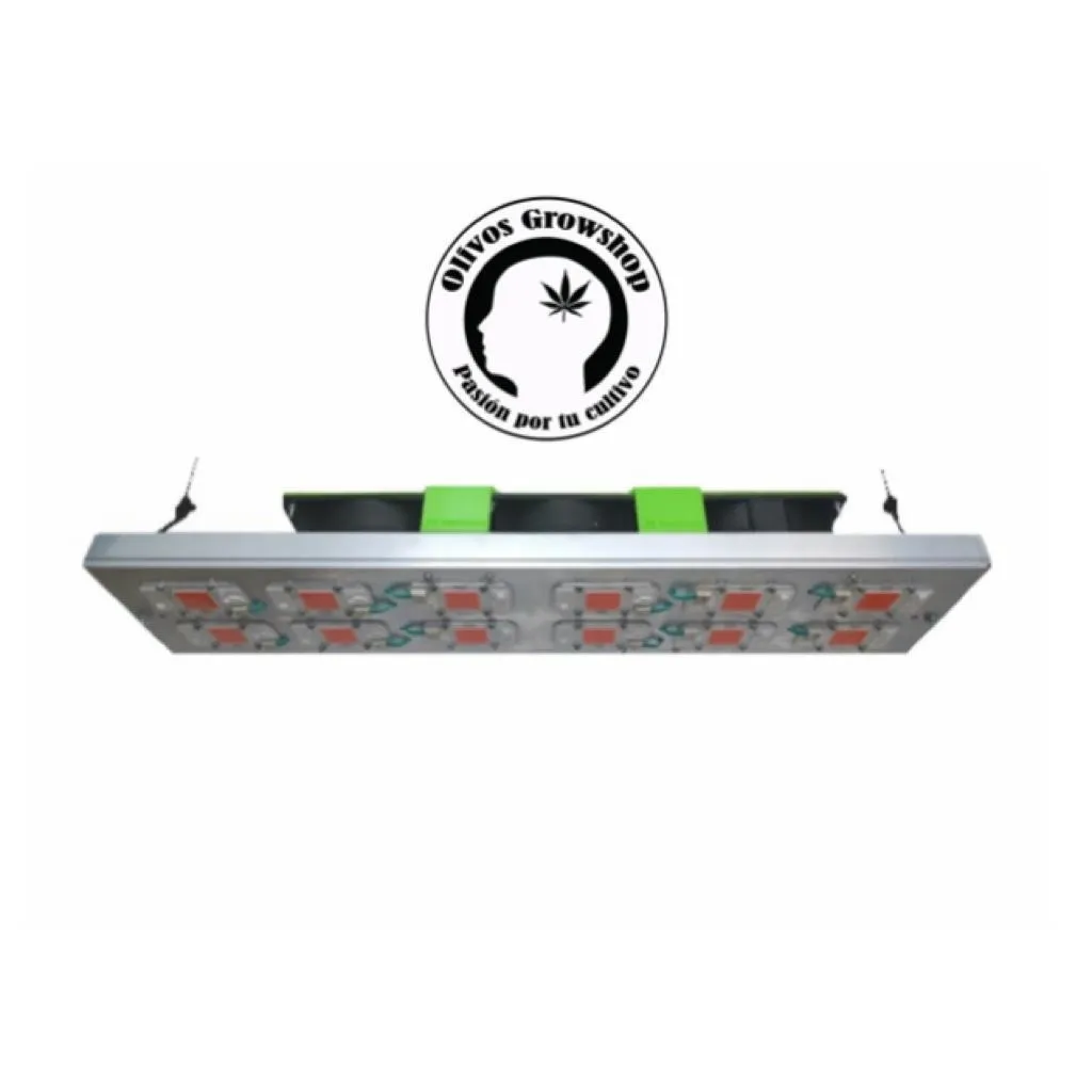 LED COB - 600 W