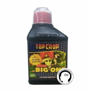 TOP CROP BIG ONE - 250ML