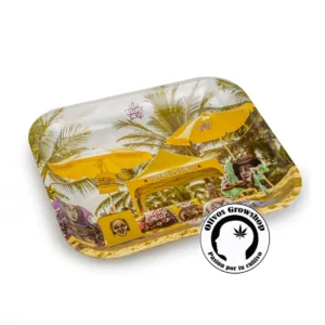 BANDEJA DE METAL LION ROLLING CIRCUS PLAYA - GRANDE