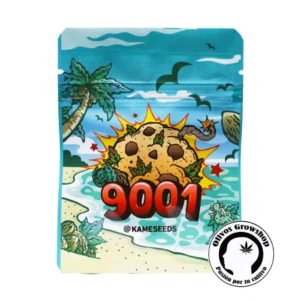 SEMILLAS CANNABIS 9001 - BLISTER X3