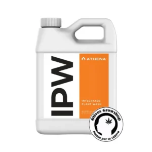 ATHENA IPW - 946ML