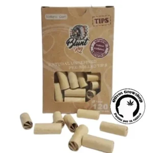 TIPS PRE ROLLED BLUNT REY - 120 U