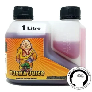 AZTEKA BUDHA JUICE - 1 LT