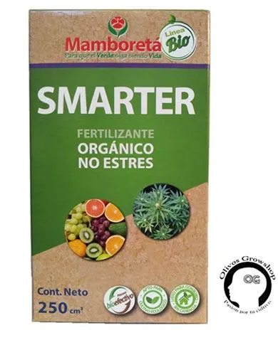 MAMBORETÁ SMARTER - 250 CC