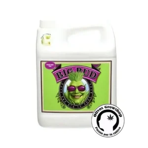 ADVANCED NUTRIENTS BIG BUD - 4 LTS