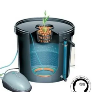 MACETA BALDE DE CULTIVO HIDROPONICO - 20 LITROS