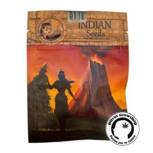 SEMILLAS CANNABIS INDIAN SEEDS EGYPTO - BLISTER X3