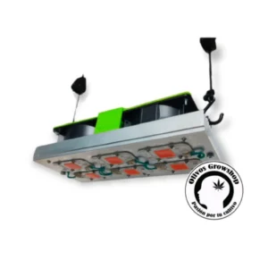 LED COB - 300 W