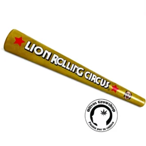 INFLABLE LION ROLLING CIRCUS 150CM