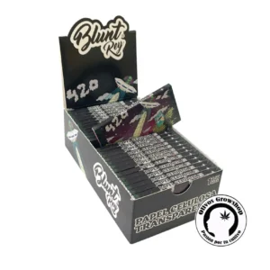 SEDA CELULOSA BLUNT REY 100u - REGULAR
