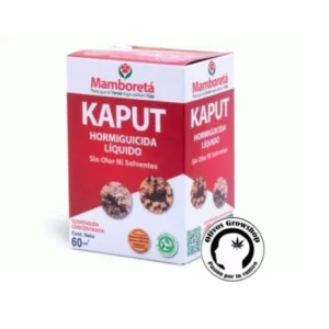 MAMBORETÁ KAPUT - 100 CC