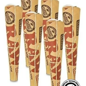 SEDAS RAW CONO X 6 - CLASSIC