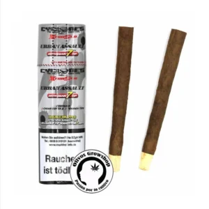 SEDAS CYCLONES CON FILTRO MADERA X2 UNIDADES - URBAN ASSAULT
