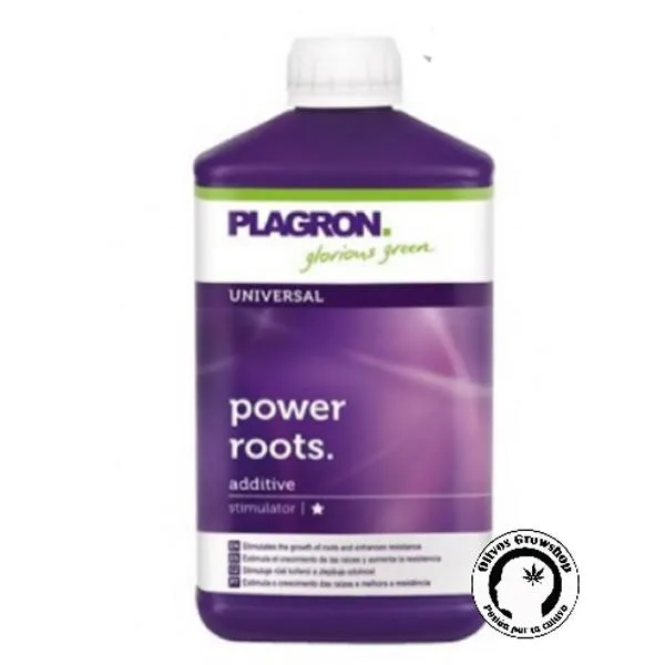 PLAGRON POWER ROOTS - 250ML