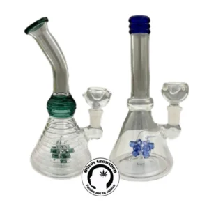 BONG DE VIDRIO 22CM