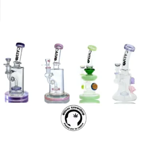 BONG DE VIDRIO CALVO 25CM