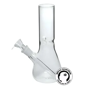 BONG DE VIDRIO TRANSPARENTE 22CM