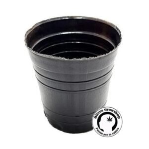 Maceta Soplada - 1/4